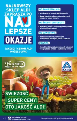 Aldi - gazetka promocyjna GLIWICE: WIELKIE OTWARCIE już w środę: 17.12! od środy 17.12 do niedzieli 21.12 - strona 8