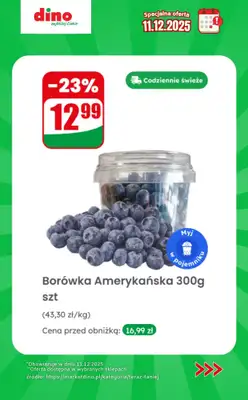 Dino - gazetka promocyjna Specjalna oferta na 11.12.2025 - promocje spoza gazetki od czwartku 11.12 do czwartku 11.12 - strona 3