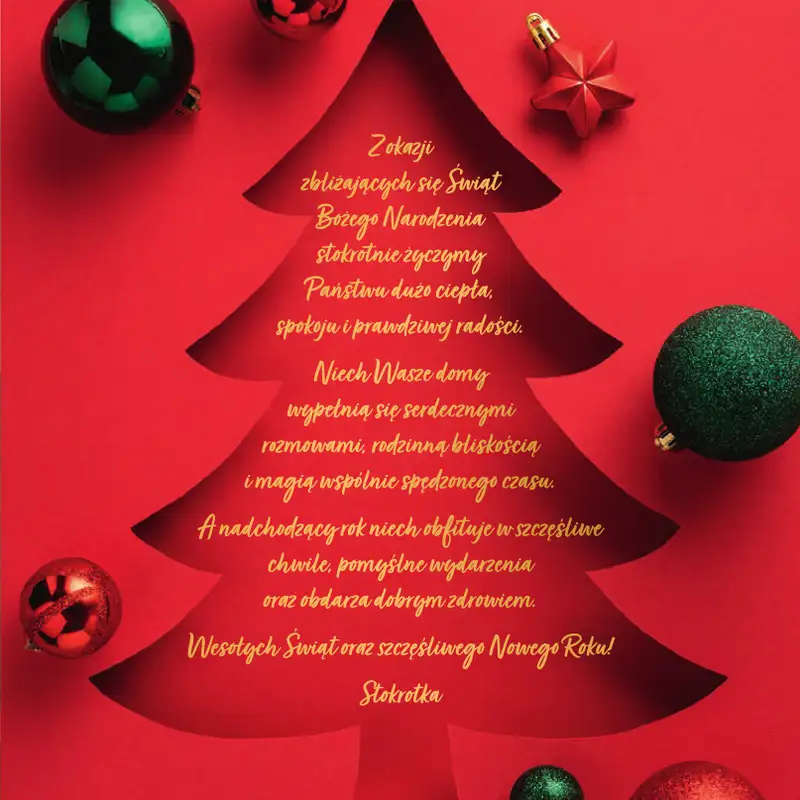 Stokrotka - gazetka promocyjna Katalog Boże Narodzenie  do poniedziałku 29.12 - strona 73