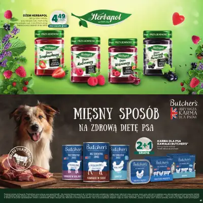 Stokrotka - gazetka promocyjna Katalog Boże Narodzenie  do poniedziałku 29.12 - strona 41