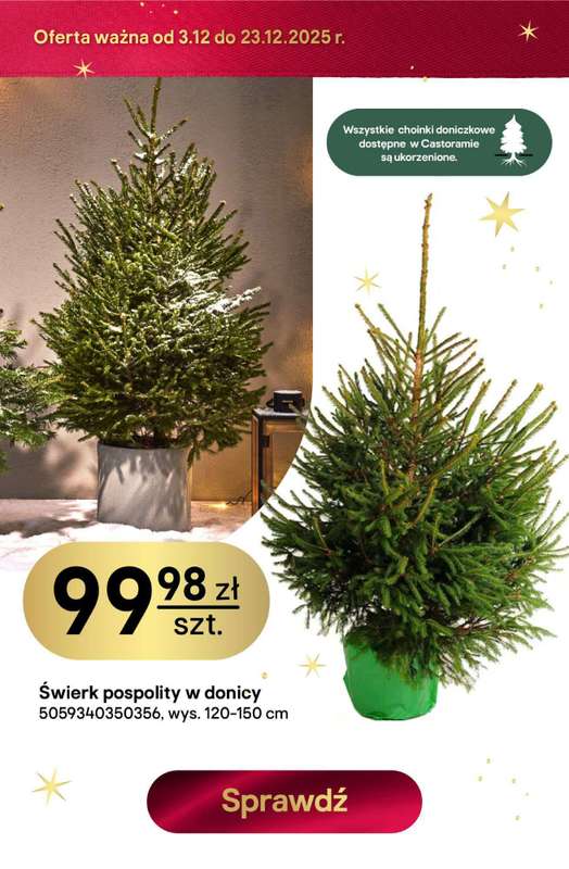 Castorama - gazetka promocyjna W teorii Święta, w praktyce najlepsze oferty od piątku 12.12 do wtorku 23.12 - strona 7