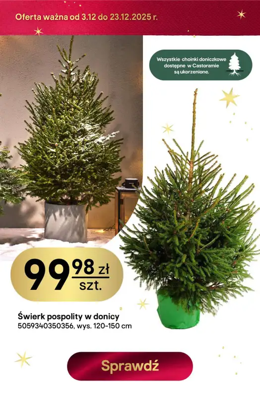 Castorama - gazetka promocyjna W teorii Święta, w praktyce najlepsze oferty od piątku 12.12 do wtorku 23.12 - strona 7