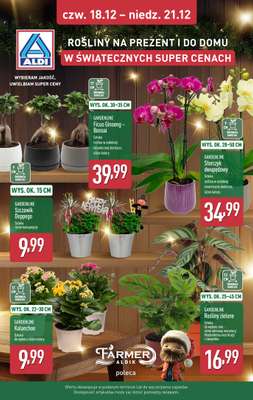 Aldi - gazetka promocyjna Pełny katalog! od poniedziałku 15.12 do niedzieli 21.12 - strona 37