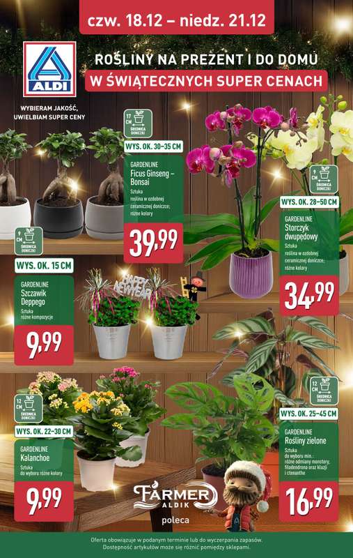 Aldi - gazetka promocyjna Pełny katalog! od poniedziałku 15.12 do niedzieli 21.12 - strona 37