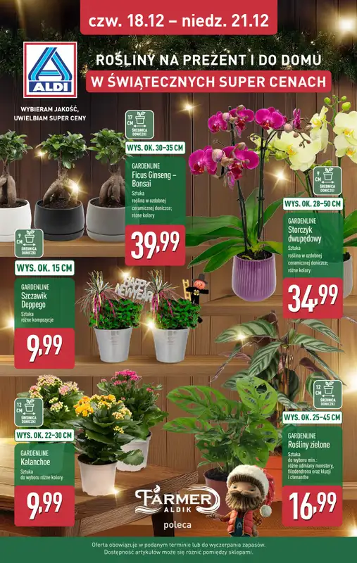 Aldi - gazetka promocyjna Pełny katalog! od poniedziałku 15.12 do niedzieli 21.12 - strona 37
