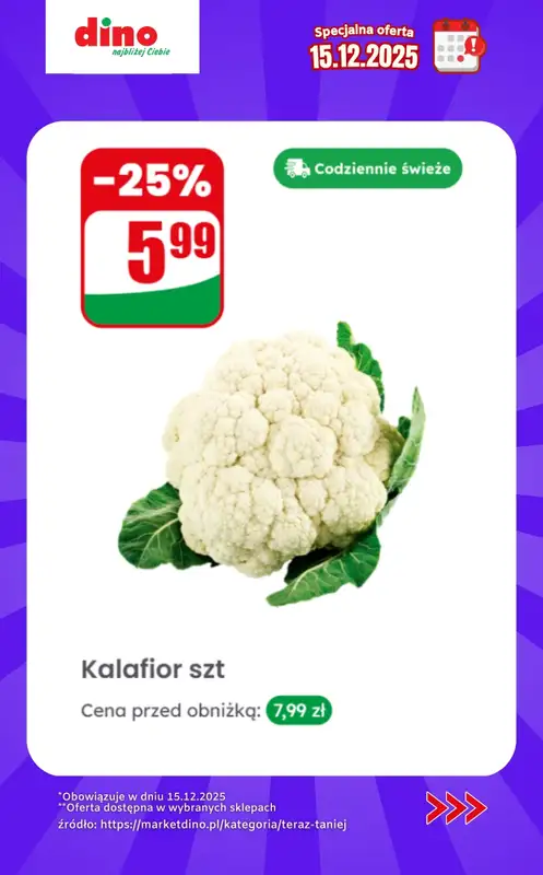 Dino - gazetka promocyjna Specjalna oferta na 15.12.2025 - promocje spoza gazetki   - strona 3