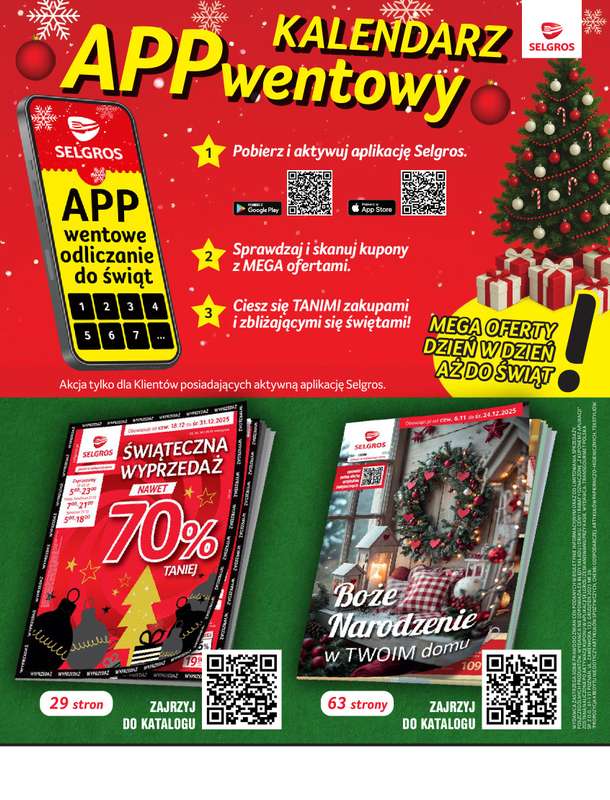 Selgros - gazetka promocyjna Oferta przemysłowa od czwartku 18.12 do środy 31.12 - strona 2