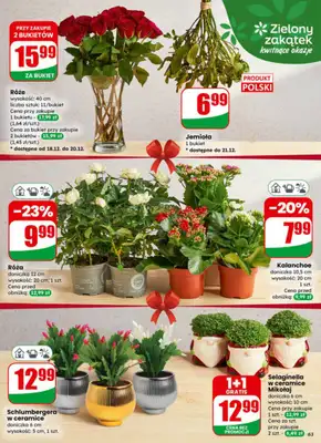 Dino - gazetka promocyjna Gazetka od środy 17.12 do wtorku 23.12 - strona 63