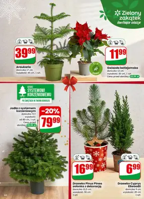 Dino - gazetka promocyjna Gazetka od środy 17.12 do wtorku 23.12 - strona 64