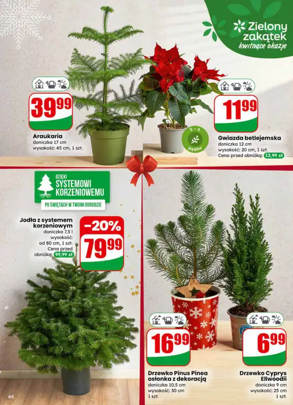 Dino - gazetka promocyjna Gazetka od środy 17.12 do wtorku 23.12 - strona 64