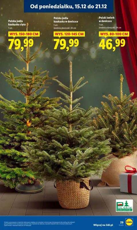 Lidl - gazetka promocyjna Oferta od poniedziałku od poniedziałku 15.12 do środy 17.12 - strona 31