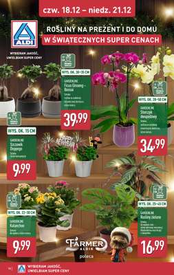 Aldi - gazetka promocyjna Weekend super cen w Aldi! od czwartku 18.12 do niedzieli 21.12 - strona 18