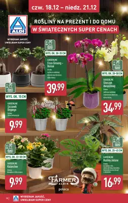 Aldi - gazetka promocyjna Weekend super cen w Aldi! od czwartku 18.12 do niedzieli 21.12 - strona 18