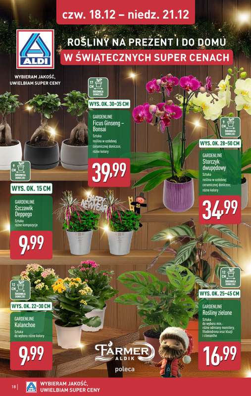 Aldi - gazetka promocyjna Weekend super cen w Aldi! od czwartku 18.12 do niedzieli 21.12 - strona 18