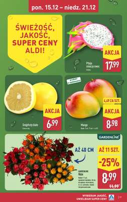 Aldi - gazetka promocyjna Weekend super cen w Aldi! od czwartku 18.12 do niedzieli 21.12 - strona 17