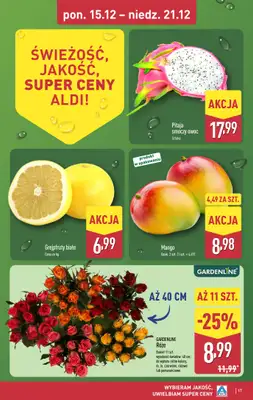 Aldi - gazetka promocyjna Weekend super cen w Aldi! od czwartku 18.12 do niedzieli 21.12 - strona 17