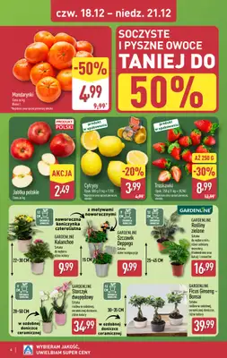 Aldi - gazetka promocyjna Weekend super cen w Aldi! od czwartku 18.12 do niedzieli 21.12 - strona 6