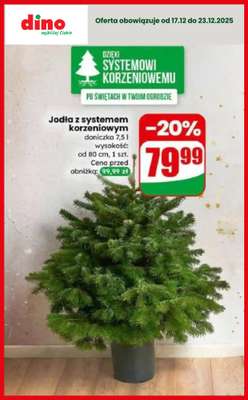 Dino - gazetka promocyjna TANIEJ na Święta - sprawdź okazje! od czwartku 18.12 do wtorku 23.12 - strona 13