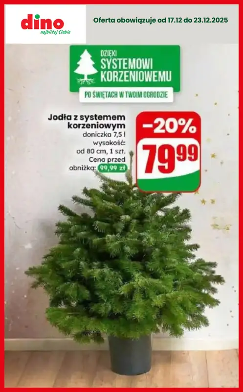 Dino - gazetka promocyjna TANIEJ na Święta - sprawdź okazje! od czwartku 18.12 do wtorku 23.12 - strona 13