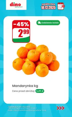 Dino - gazetka promocyjna Specjalna oferta na 18.12.2025 - promocje spoza gazetki od czwartku 18.12 do czwartku 18.12 - strona 4