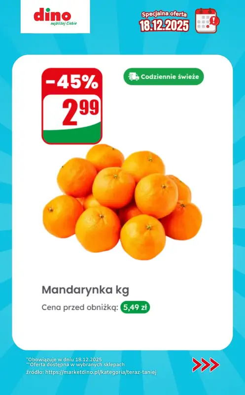 Dino - gazetka promocyjna Specjalna oferta na 18.12.2025 - promocje spoza gazetki od czwartku 18.12 do czwartku 18.12 - strona 4