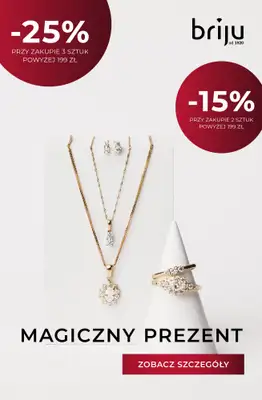 Briju - gazetka promocyjna Oferta specjalna od czwartku 18.12 do środy 31.12 - strona 10