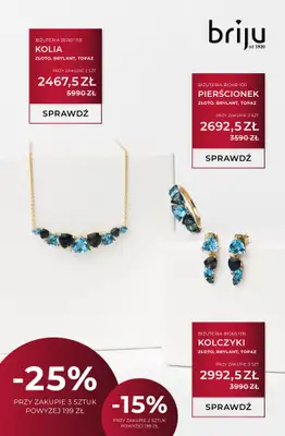 Briju - gazetka promocyjna Oferta specjalna od czwartku 18.12 do środy 31.12 - strona 5