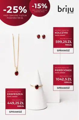 Briju - gazetka promocyjna Oferta specjalna od czwartku 18.12 do środy 31.12 - strona 6