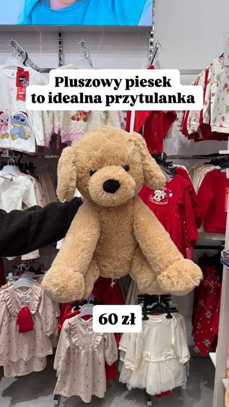 Pepco - gazetka promocyjna Zakupowe Inspiracje w Pepco od czwartku 18.12 