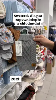 Pepco - gazetka promocyjna Zakupowe Inspiracje w Pepco od poniedziałku 22.12  - strona 2