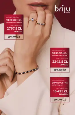 Briju - gazetka promocyjna Oferta specjalna od czwartku 18.12 do środy 31.12 - strona 3