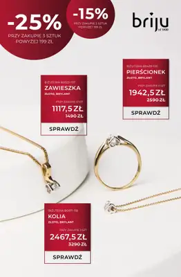 Briju - gazetka promocyjna Oferta specjalna od czwartku 18.12 do środy 31.12 - strona 2