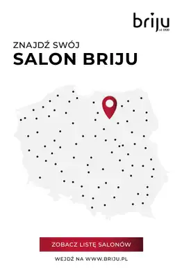 Prezenty - gazetka promocyjna Briju I Oferta specjalna od czwartku 18.12 do środy 31.12 - strona 12