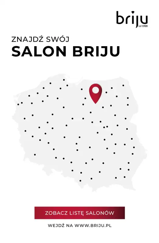 Prezenty - gazetka promocyjna Briju I Oferta specjalna od czwartku 18.12 do środy 31.12 - strona 12