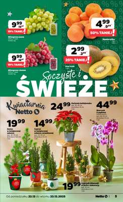 Netto - gazetka promocyjna Gazetka Spożywcza od poniedziałku 22.12 do wtorku 23.12 - strona 5