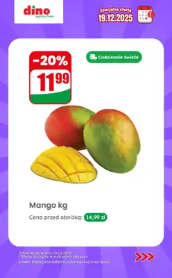 Dino - gazetka promocyjna Specjalna oferta na 19.12.2025 - promocje spoza gazetki od piątku 19.12 do piątku 19.12 - strona 4