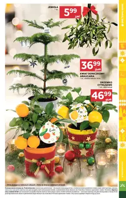 Stokrotka - gazetka promocyjna Gazetka Supermarket od czwartku 18.12 do niedzieli 21.12 - strona 42