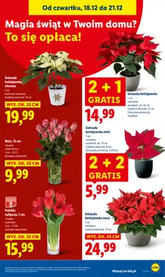 Lidl - gazetka promocyjna Oferta od czwartku od czwartku 18.12 do niedzieli 21.12 - strona 37