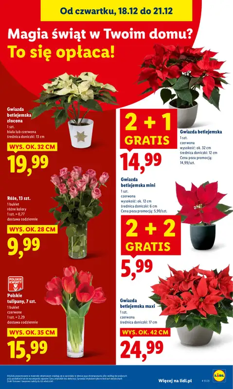 Lidl - gazetka promocyjna Oferta od czwartku od czwartku 18.12 do niedzieli 21.12 - strona 37