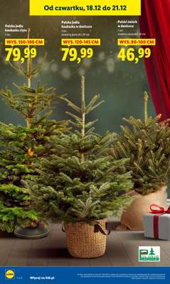 Lidl - gazetka promocyjna Oferta od czwartku od czwartku 18.12 do niedzieli 21.12 - strona 36