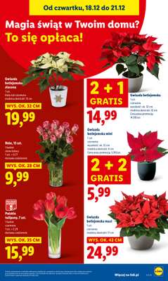 Lidl - gazetka promocyjna Oferta od czwartku od czwartku 18.12 do niedzieli 21.12 - strona 37