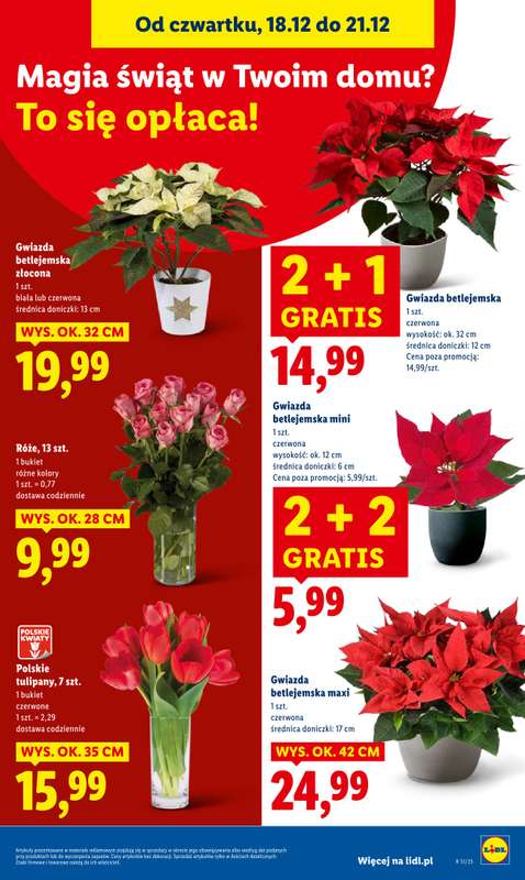Lidl - gazetka promocyjna Oferta od czwartku od czwartku 18.12 do niedzieli 21.12 - strona 37