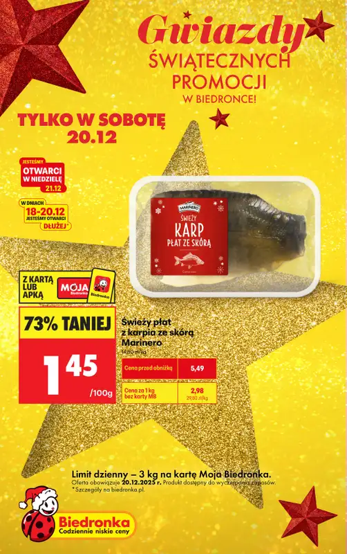 Biedronka - gazetka promocyjna Gwiazdy świątecznych promocji od soboty 20.12 do soboty 20.12 - strona 6
