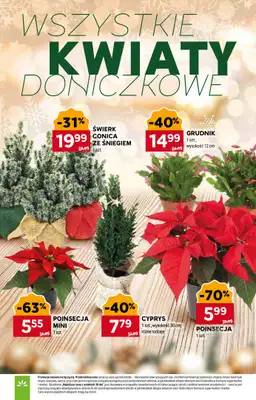 Stokrotka - gazetka promocyjna Gazetka Market od poniedziałku 22.12 do niedzieli 28.12 - strona 12
