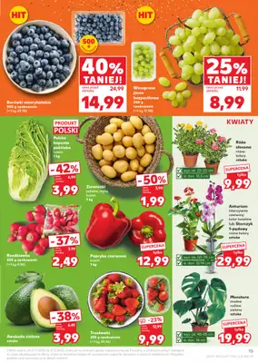 Kaufland - gazetka promocyjna Oferta Kaufland od soboty 27.12 do środy 31.12 - strona 15