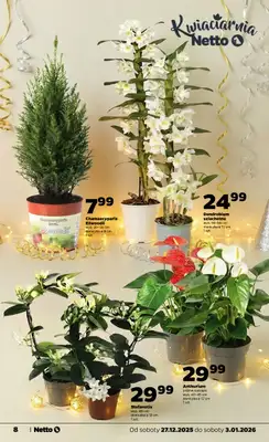 Netto - gazetka promocyjna Gazetka Spożywcza od soboty 27.12 do soboty 03.01 - strona 8