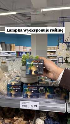 Action - gazetka promocyjna Zakupowe Inspiracje w Action od czwartku 25.12  - strona 6