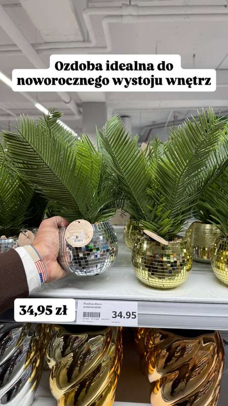 Action - gazetka promocyjna Zakupowe Inspiracje w Action od czwartku 25.12 