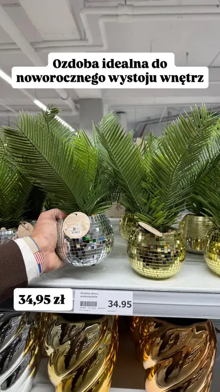 Action - gazetka promocyjna Zakupowe Inspiracje w Action od czwartku 25.12 