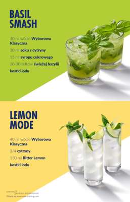 Biedronka - gazetka promocyjna Wódka Wyborowa w Biedronce w super cenie od soboty 27.12 do środy 31.12 - strona 10